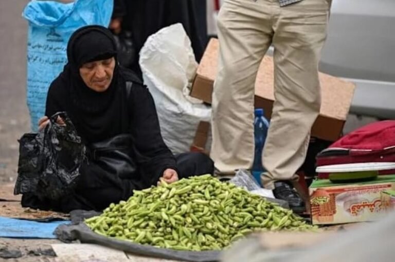 Iraqi Markets - A Lifeline for Iranian Pedlars Amidst Economic Turmoil
